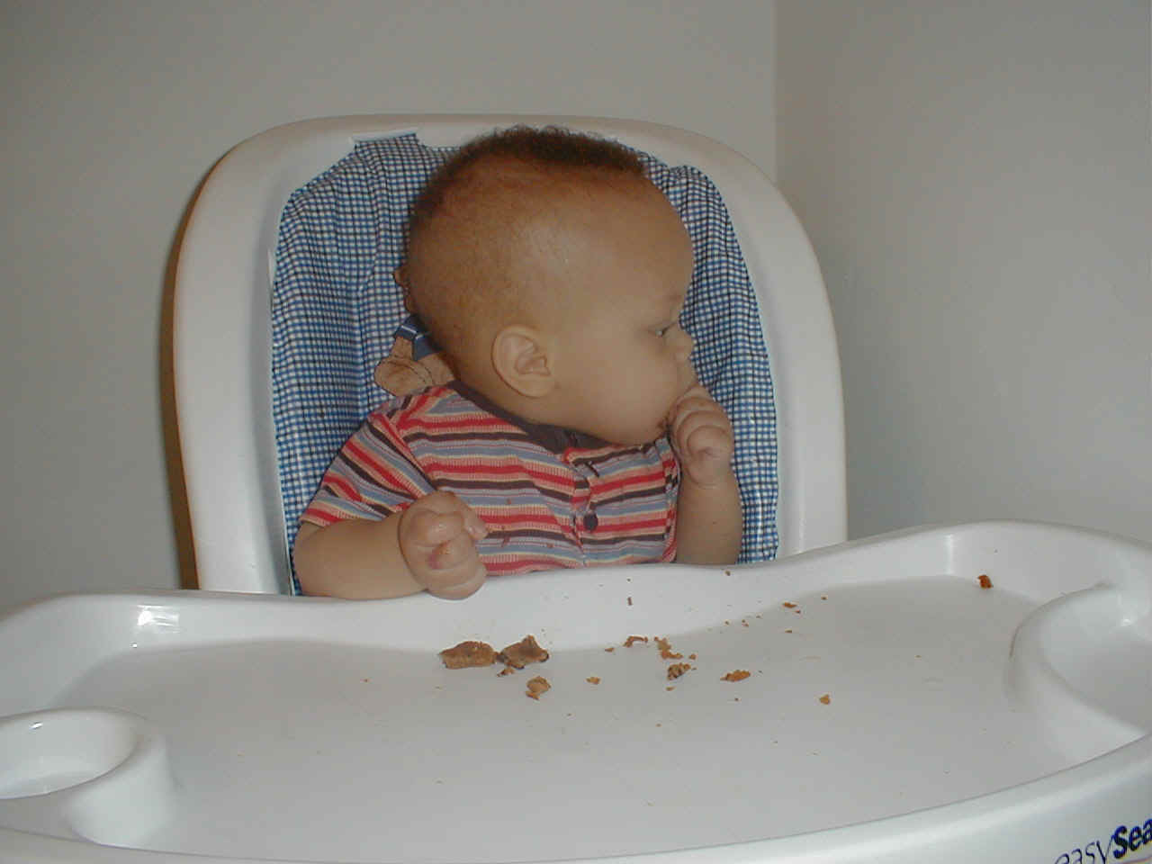 Dylan Eating2.JPG (175833 bytes)