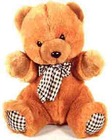 teddybear.jpg (7012 bytes)